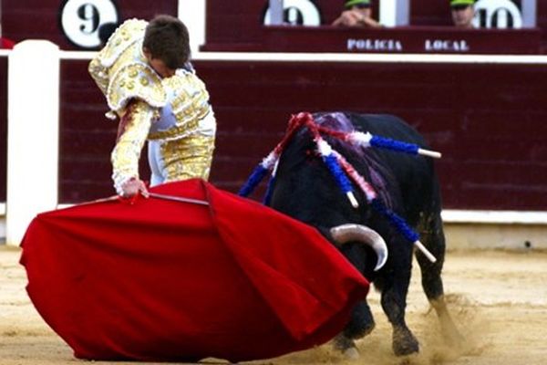 Sergio Felipe, novillero originaire d'Albacete, a ravi le public de Madrid ce dimanche: à suivre