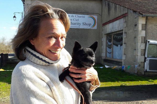 Le Charity Shop de Bussière-Poitevine (87) aide à l'adoption de chiens abandonnés