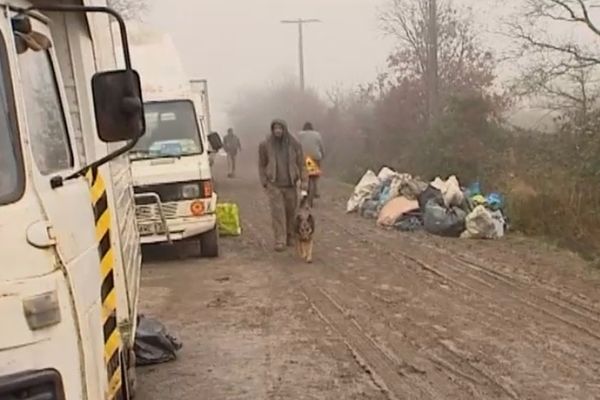 Nettoyage du site de Notre dame des Landes