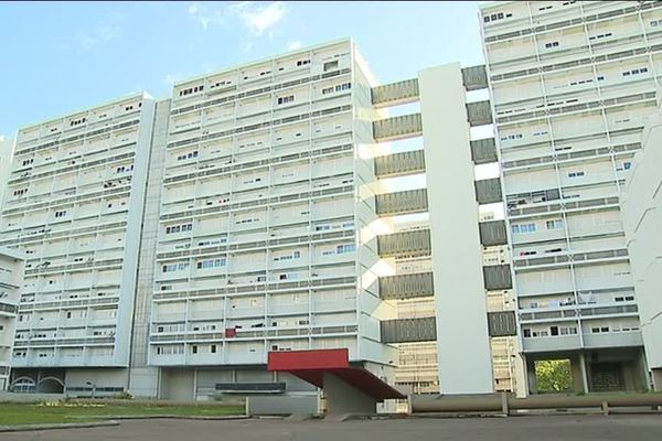 Les habitants du quartier des Aubiers doivent désormais cohabiter avec leurs voisins de Ginko. 