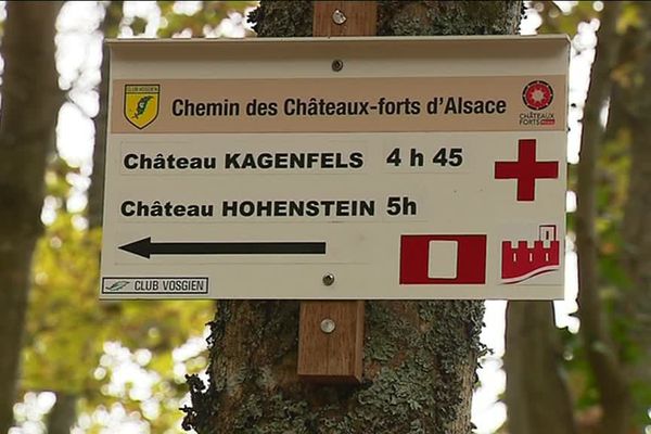 1500 panneaux viennent d'être installés du Sud au Nord de l'Alsace