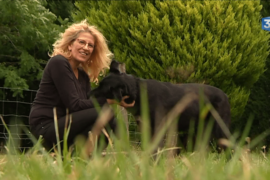 Elle Retrouve Son Chien 8 Ans Après 8247