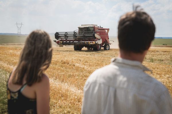 En Gironde, une centaine de Sentinelles vont être formées pour détecter le mal-être des agriculteurs du département. (photo d'illustration)