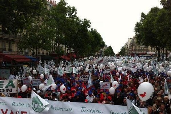 Mobilisés à l'appel de la FNSEA et des Jeunes Agriculteurs (JA), les agriculteurs espèrent être 10.000 au moins escortés de près de 700 animaux .
