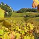 Château-Chalon dans le vignoble du Jura.