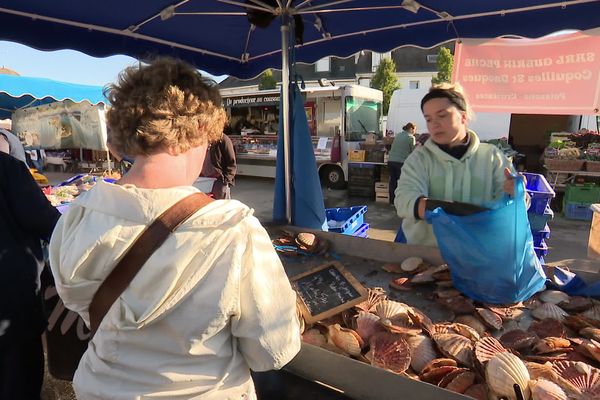 En marché ou en grandes surfaces, le précieux coquillage est déjà très demandé par les clients.