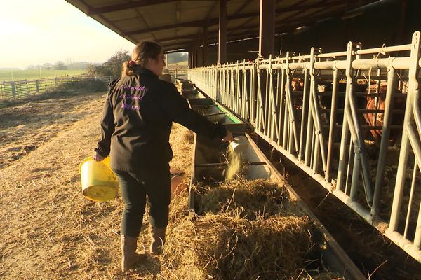 La loi Egalim 2 oblige les éleveur à contractualiser avec l'aval en prenant en compte leurs coûts de production qui explosent