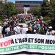 Une manifestation dans les rues de Toulouse, le 21 avril 2024, contre la construction de l'Autoroute A69.