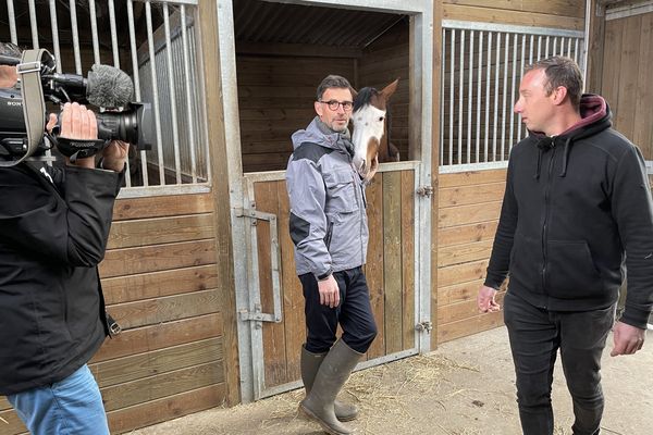 La forêt de Brotonne à cheval avec Vincent Chatelain c'est Vachement Normand !