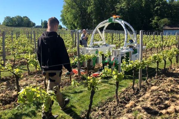 Ted est un tracteur robot en phase de test dans les vignes de Monbazillac, 90 000 euros pour le modèle de base...