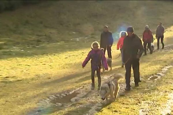 A Prénovel dans le Haut-Jura, les pistes de ski de fond ressemblent à cela en ces vacances de Noël.