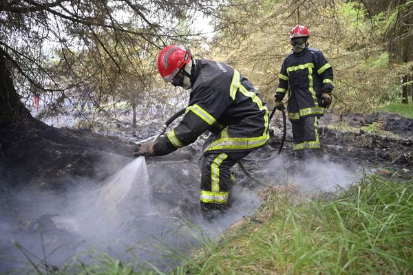 Les incendies dans les Monts d'Arrée ont "de manière certaine une origine humaine" selon la procureure de Quimper