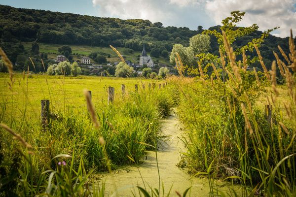 Dans l'Eure, le ciel du Marais Vernier restera bien nuageux jusqu'en fin d'après-midi, avant le retour d'éclaircies plus décisives.