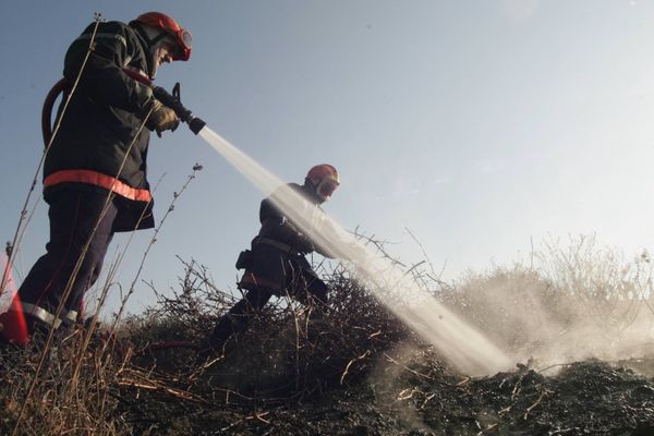 Illustration- Depuis l'été 2017, les pompiers sont confrontés à une série d'incendies, accentuée par la sécheresse en Corse. 