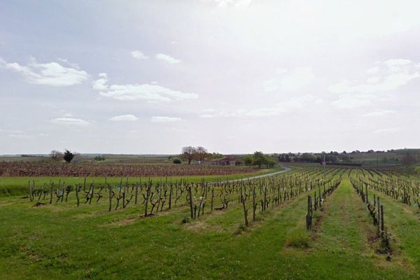 Saint-Eugène, en Charente-Maritime, un village au milieu des vignes.