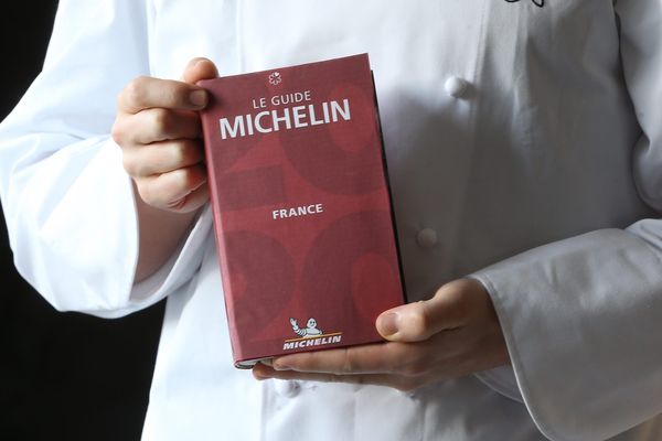 Le guide Michelin 