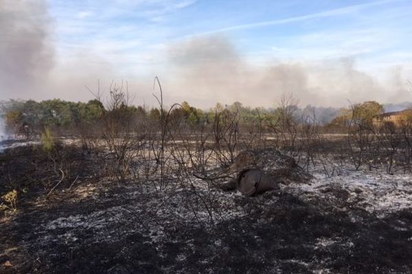 4 hectares sont partis en fumée sur le bord de la route. 