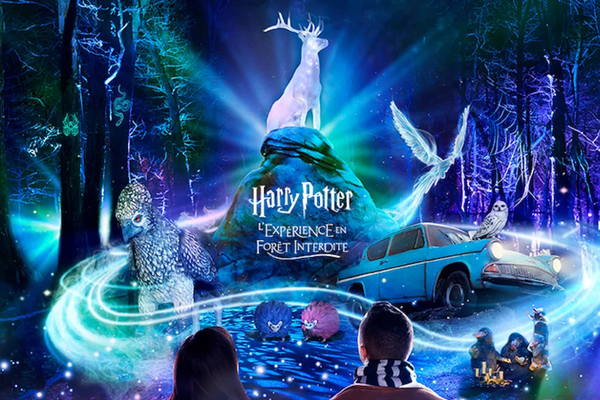 Harry Potter : L’expérience en Forêt Interdite ouvrira le 19 octobre 2024 au Jardin des Plantes de Montauban.