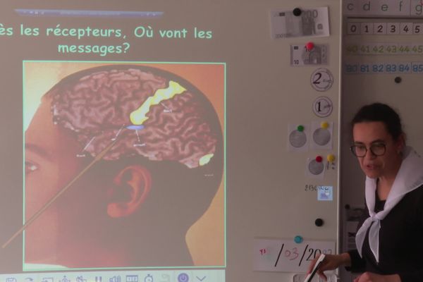 Du 13 au 17 mars a lieu la semaine du cerveau afin de sensibiliser le grand public à l’importance de la recherche sur le cerveau.