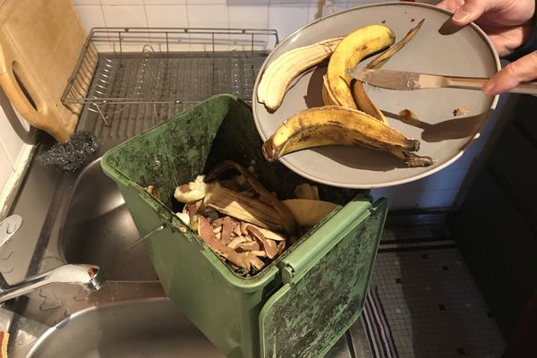 Nantes Métropole va créer une filière de valorisation des déchets ménagers compostables.