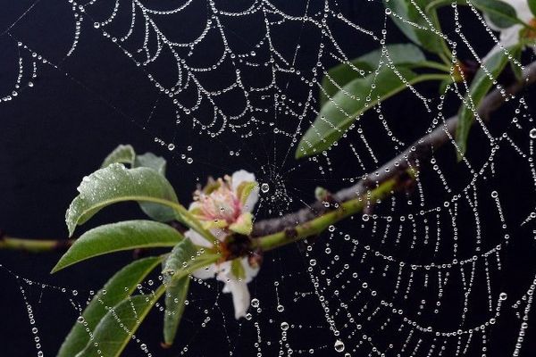 Le temps sera humide ce jeudi en Pays de la Loire