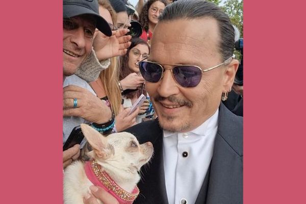 Le regard complice de Savanna et Johnny Depp ce mardi 16 mai lors de la première montée des marches du 76e Festival de Cannes.