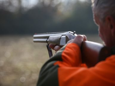 VIDEO. Un chasseur pr t tirer travers la route film par un