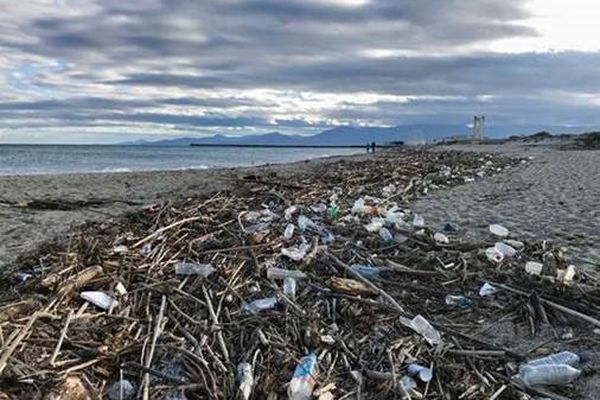 Des déchets charriés par les eaux de pluie proviennent des promeneurs et riverains de la Têt.