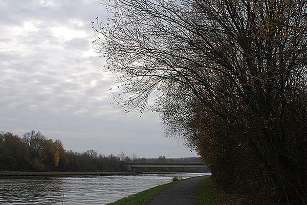 Bord de la Deule, février 2009.