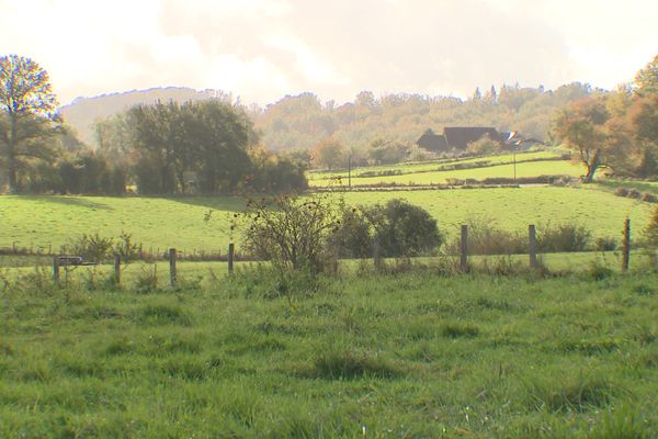 Les terres à Saint-Méard (87) où Muriel Lavaud entend construire son futur poulailler, projet dont son voisin ne veut pas... Pas là en tout cas !