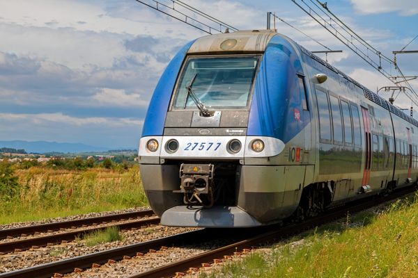 Un train TER a percuté un arbre tombé sur la voie ferrée entre Toulouse et Aurillac. Pas de blessé, mais une soixantaine de passagers évacués.