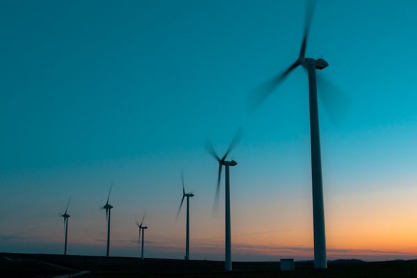 Les manifestants ne souhaitent pas voir s'installer des champs d'éoliennes à l'image de celui-ci. Ils souhaitent des études plus approfondies.