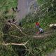 Plusieurs villes et départements de l'hexaqgone annoncent déjà débloquer des fonds pour venir en aide aux sinistrés du cyclone Chido, à Mayotte.