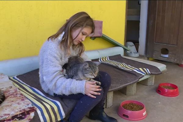 Mathilde a organisé la collecte pour les animaux de la SPA.