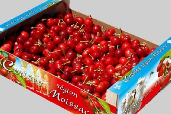 La cerise de Moissac : 280 producteurs et 2500 tonnes par an...