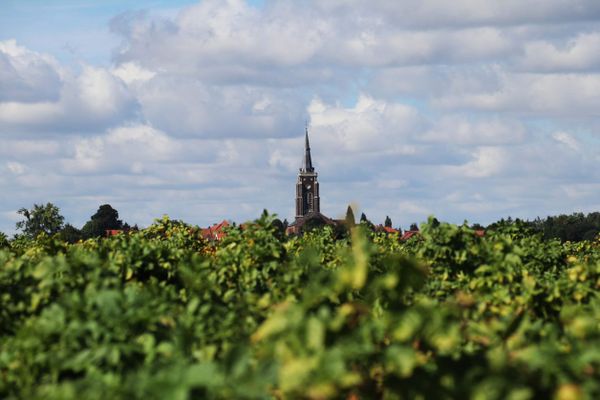 Le ciel se fait agréable ce jeudi 11 novembre 2021 sur une large partie de la région Hauts-de-France avec de belles éclaircies comme ici à Mons-en-Pévèle.