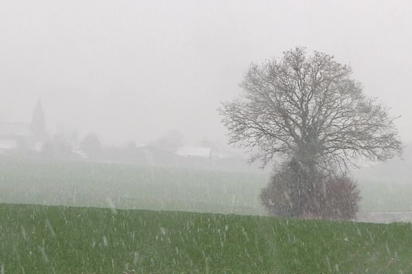 Chutes de neige dans la Somme en février 2021.