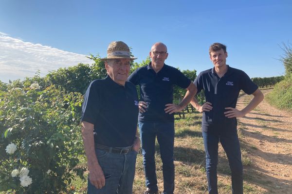 Eugène, François et Xavier Meyer dans l'une de leurs parcelles à Bergholtz (Haut-Rhin)