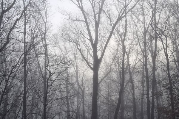 Grisaille tenace ce mardi matin