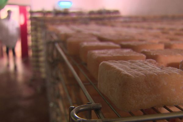 Le maroilles de 750 g de l'entreprise Lesire et Roger a remporté le titre de meilleur fromage du monde.