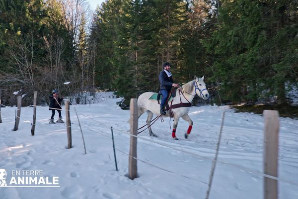 Franck Menestret et la propriétaire de la ferme équestre de la Pelaisse Aline Marlière, en pleine séance de ski-joëring dans la forêt.