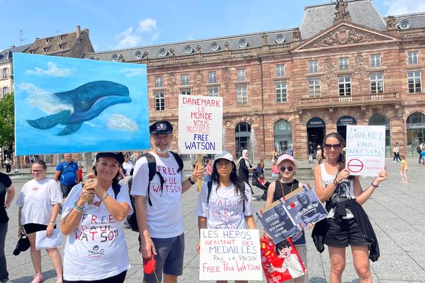 Samedi 3 août, des dizaines de personnes s'étaient rassemblées à Strasbourg pour réclamer la libération du défenseur des baleines, Paul Watson.