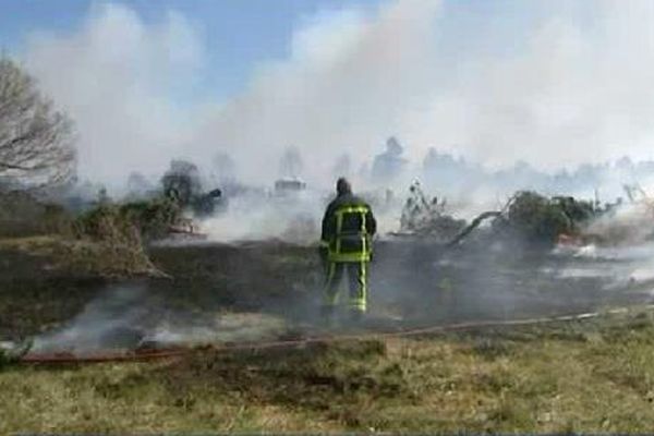 Plusieurs hectares ont été ravagés par les flammes.