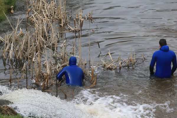 Illustration de plongeurs de la gendarmerie intervenant pour la recherche d'une personne.