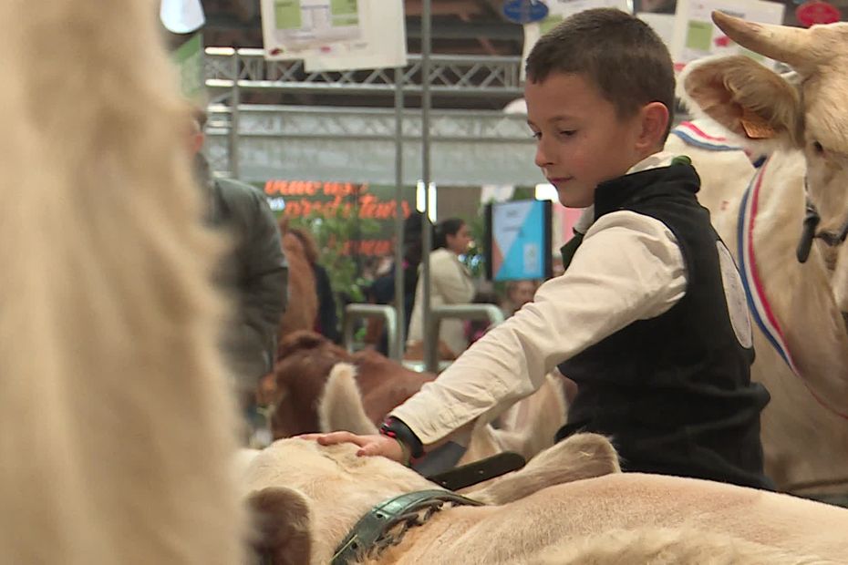 La Ferme s’invite Agricultural Show in Poitiers: A Celebration of Farm Animals and Agriculture