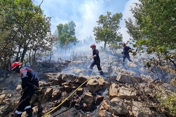 Les sapeurs-pompiers en action au col de Vence.