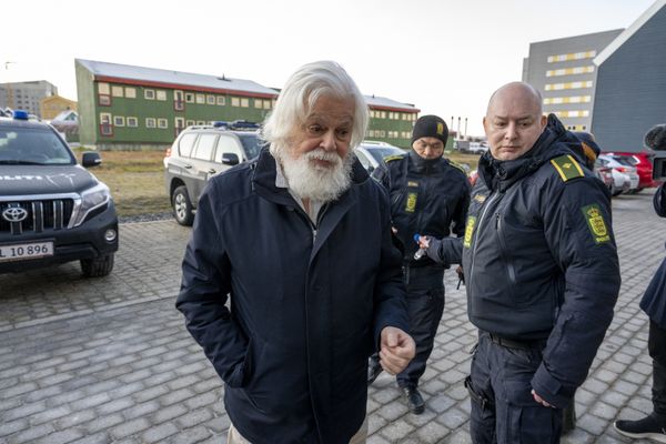 Paul Watson, fondateur de Sea Sheperd, lors de son audience à la cour de Nuuk au Groenland le 2 Octobre 2024.