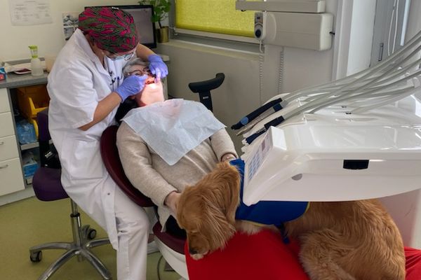 Hélène a vécu une expérience traumatisante étant enfant. Elle a développé depuis une phobie des dentistes. Mission accomplie pour Scully qui l'a rassurée