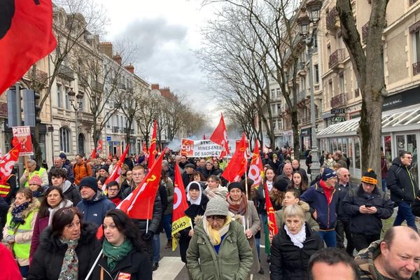 La manifestation dans les rues de Chalon-sur-Saône (Saône-et-Loire), le 31 janvier.