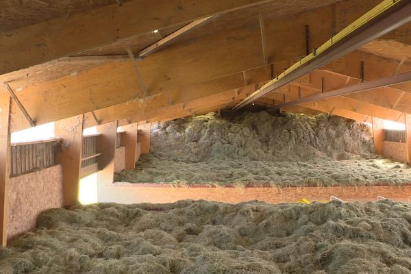 Pour que la technique de séchage fonctionne, le bâtiment doit faire environ 6-7 mètres de hauteur.